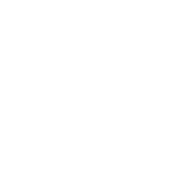 Ebike Premium, logo blanc